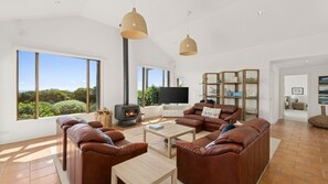 TV, fireplace, books, stereo