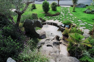 Een tuin met een pad van stenen, een kleine vijver en verschillende planten.