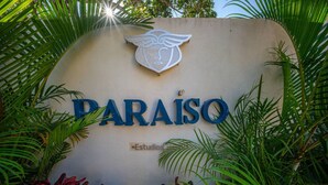 A sign with the name "PARAISO" surrounded by lush greenery. - Lux 1 BR w/ Pool in Tulum Jungle @ Paraiso (Tulum)