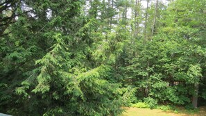 Terrain de lâhĂ©bergement