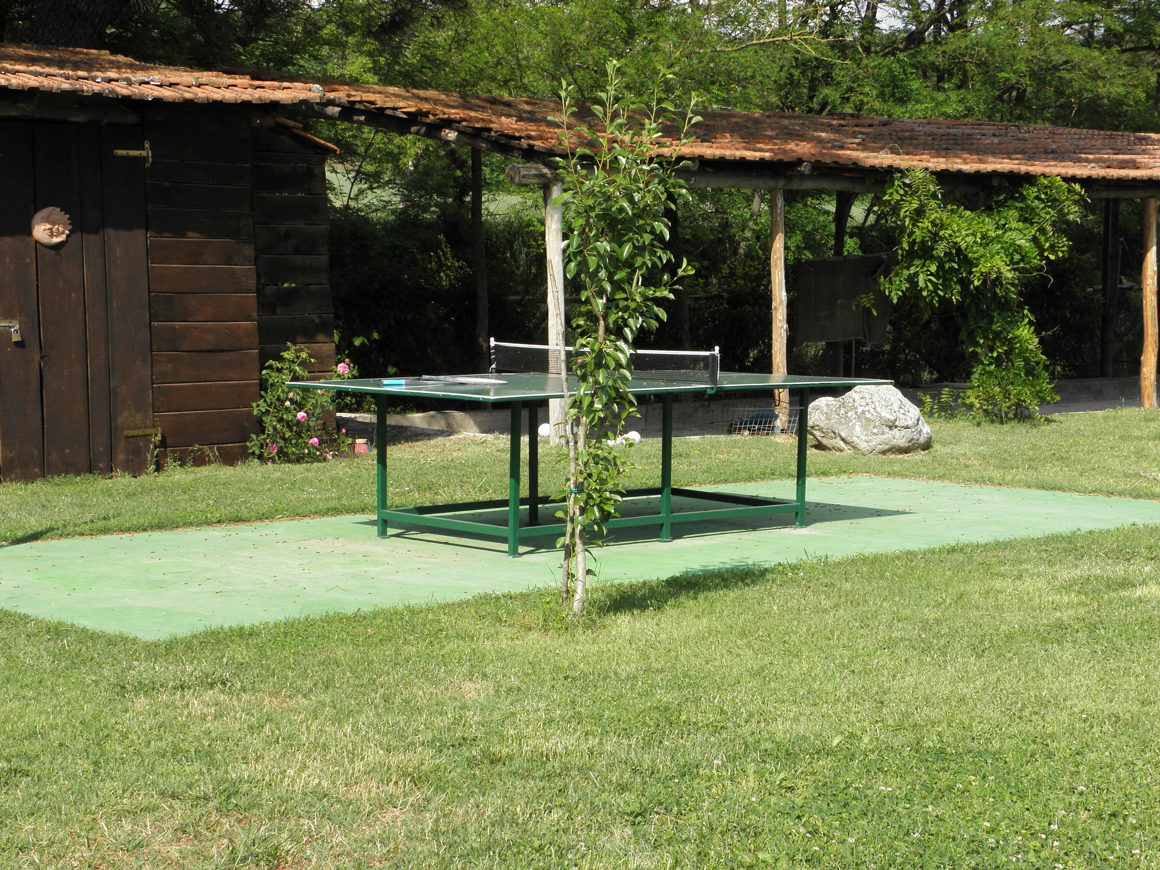 Ein Ping-Pong-Tisch in einer grünen Rasenfläche, im Hintergrund ein Holzbauten.
