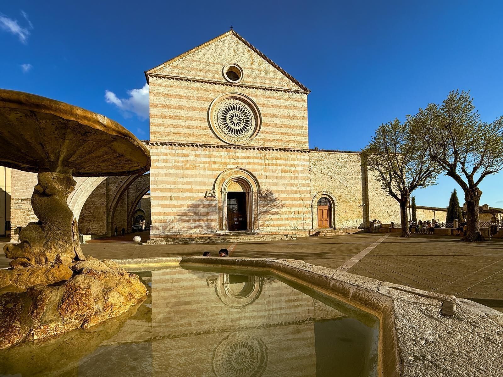 Un edificio storico con un cortile centrale, una fontana e un grande albero.