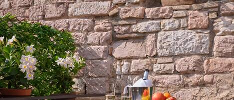 Suite júnior | Terrassa o pati