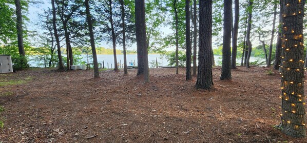 Un espace boisé avec vue sur un lac, un hamac et un petit abri de jardin.