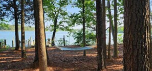 Property grounds - The Waverly Tree House (Machipongo)