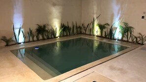 Pool - RAE4sixty apts with pool, near Paseo Montejo2 (Mérida)