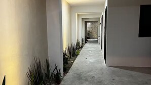 Un long couloir étroit, doté d’un sol et de murs en béton, bordé de plantes en pot et aboutissant à une porte au fond.