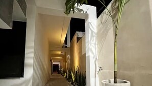 Un couloir étroit et bien éclairé, avec une grande plante en pot et une fenêtre sur le côté gauche.