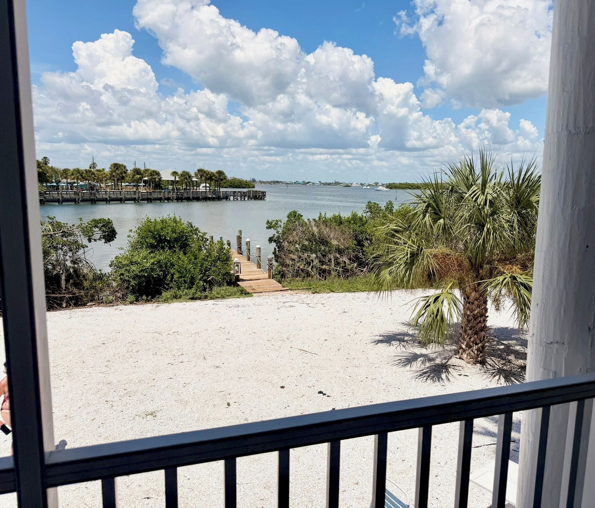 A beach view with a wooden pier extending into the water, surrounded by palm trees and a clear sky.