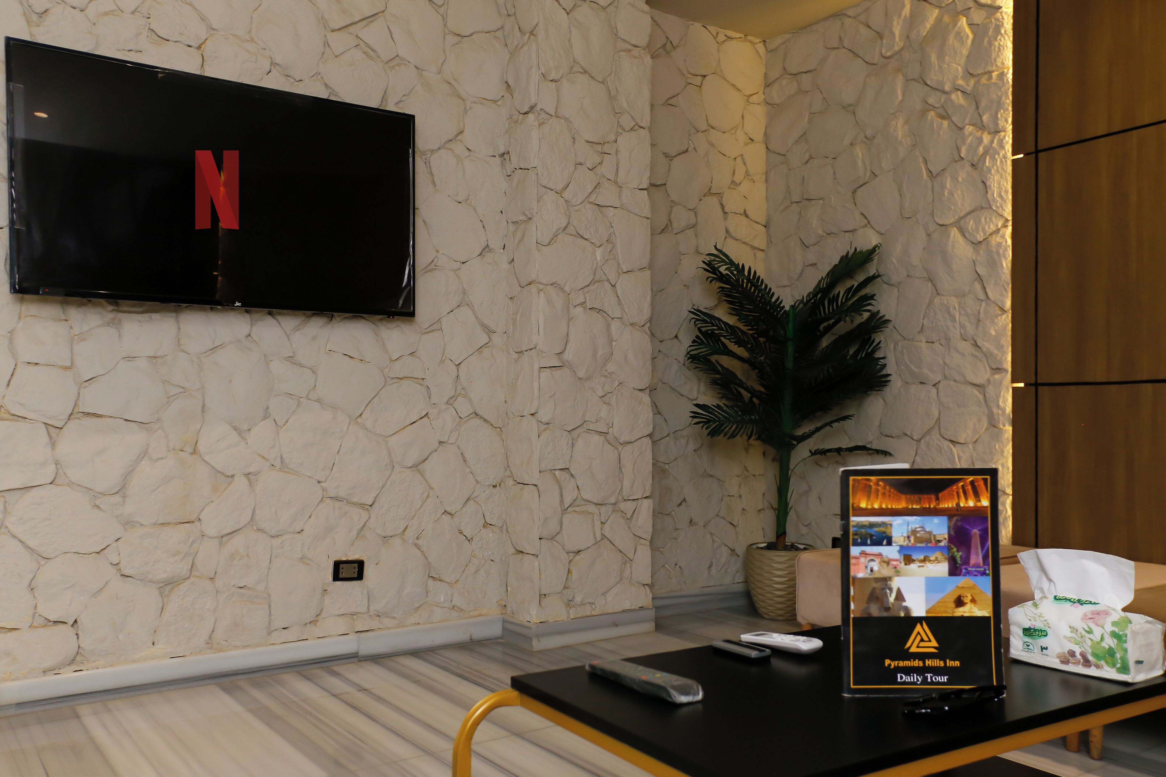 A hotel room with a flat-screen TV mounted on the wall displaying the Netflix logo, a remote control, a daily tour brochure, and a plant on a side table.