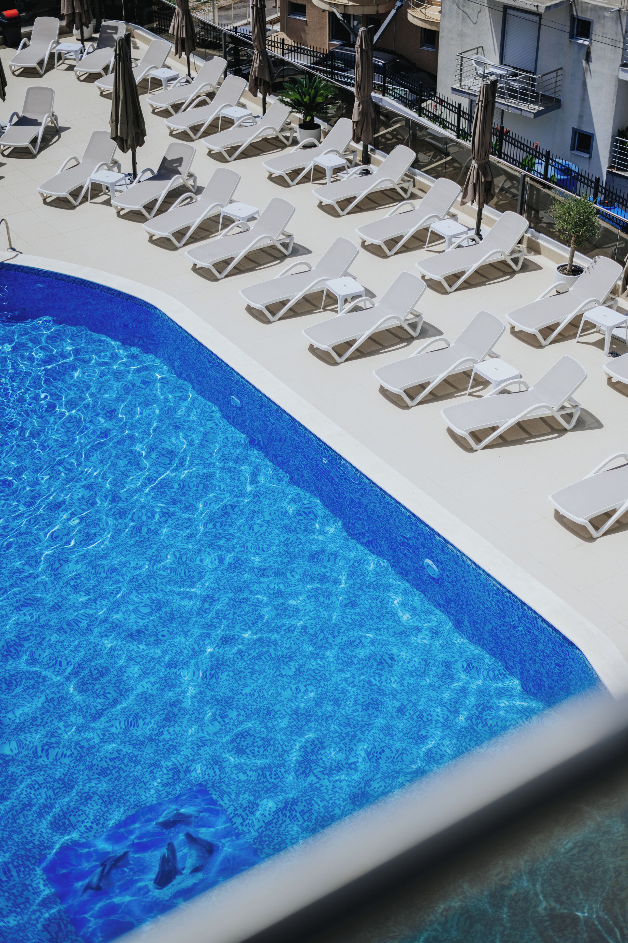 Zona de piscina con sillas reclinables blancas y sombrillas, rodeada por una valla baja.