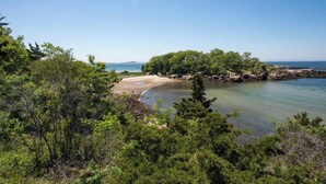 Paisagem costeira com praia arenosa, vegetação densa e águas calmas.
