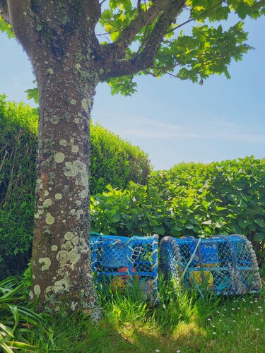 Le repère de Saint Mathieu