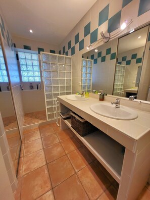 Shower, hair dryer, towels