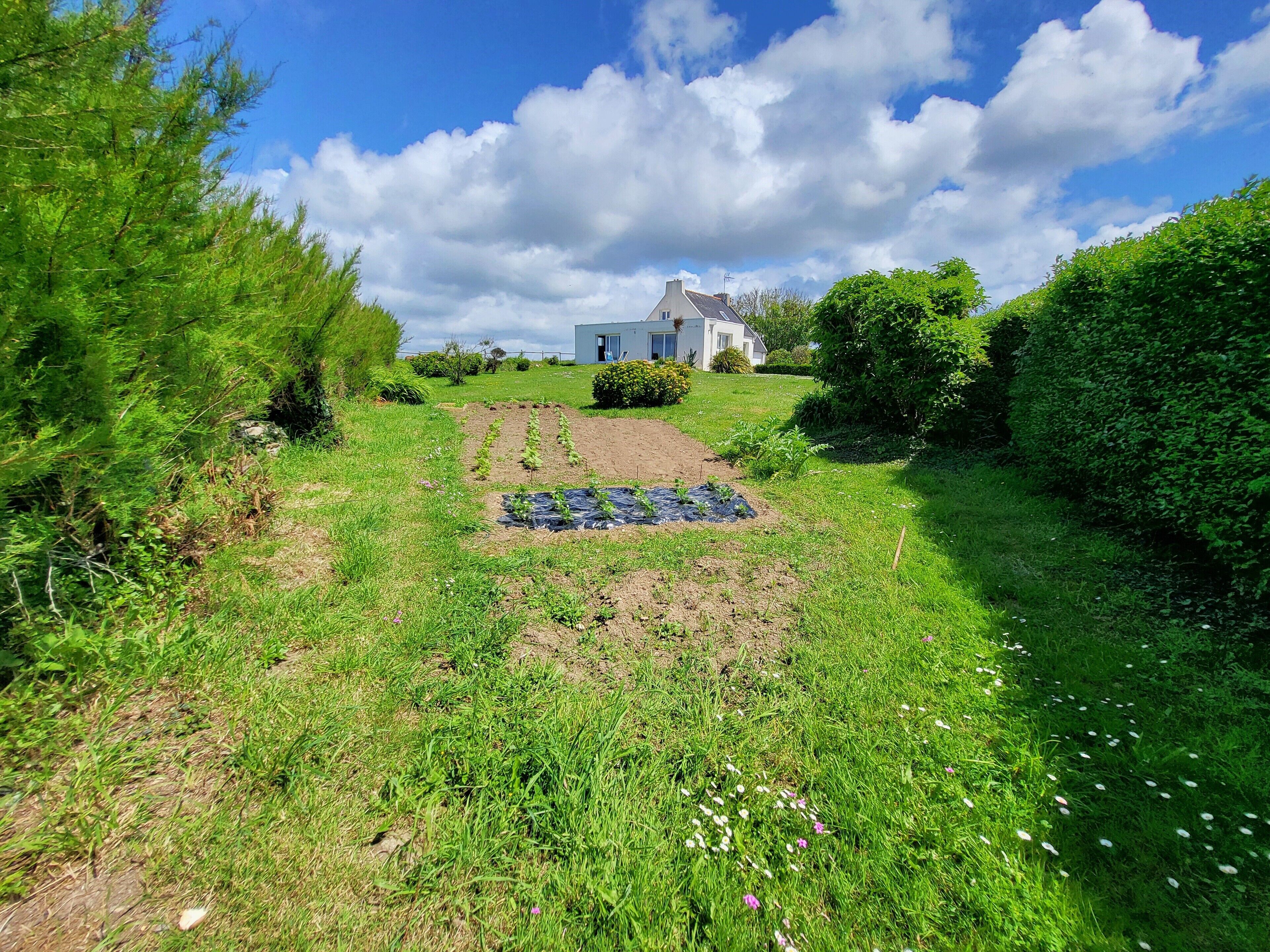 المنطقة المحيطة بالمنشأة