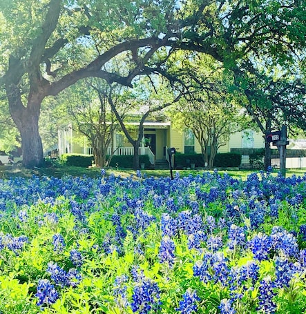 Exterior. Historic 1904 Home w/Granite Kitchen, Fireplace, Treehouse! Near ATX/San Antonio