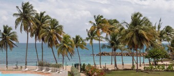 Océalia - Cosy studio with sea view and direct beach access