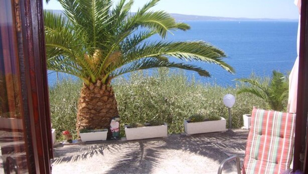 A view of a palm tree and ocean from a window. - Apartments Roma - One Bedroom Apartment (Stanici)