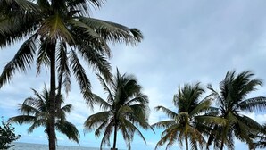 Una playa arenosa con palmeras y un mar tranquilo bajo un cielo nublado.