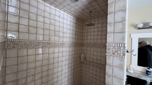 Shower, jetted tub, hair dryer, towels