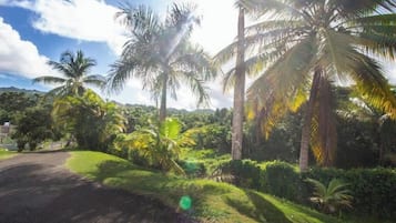 Área da propriedade