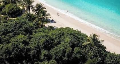 Casita Bella, Tropical Homestead