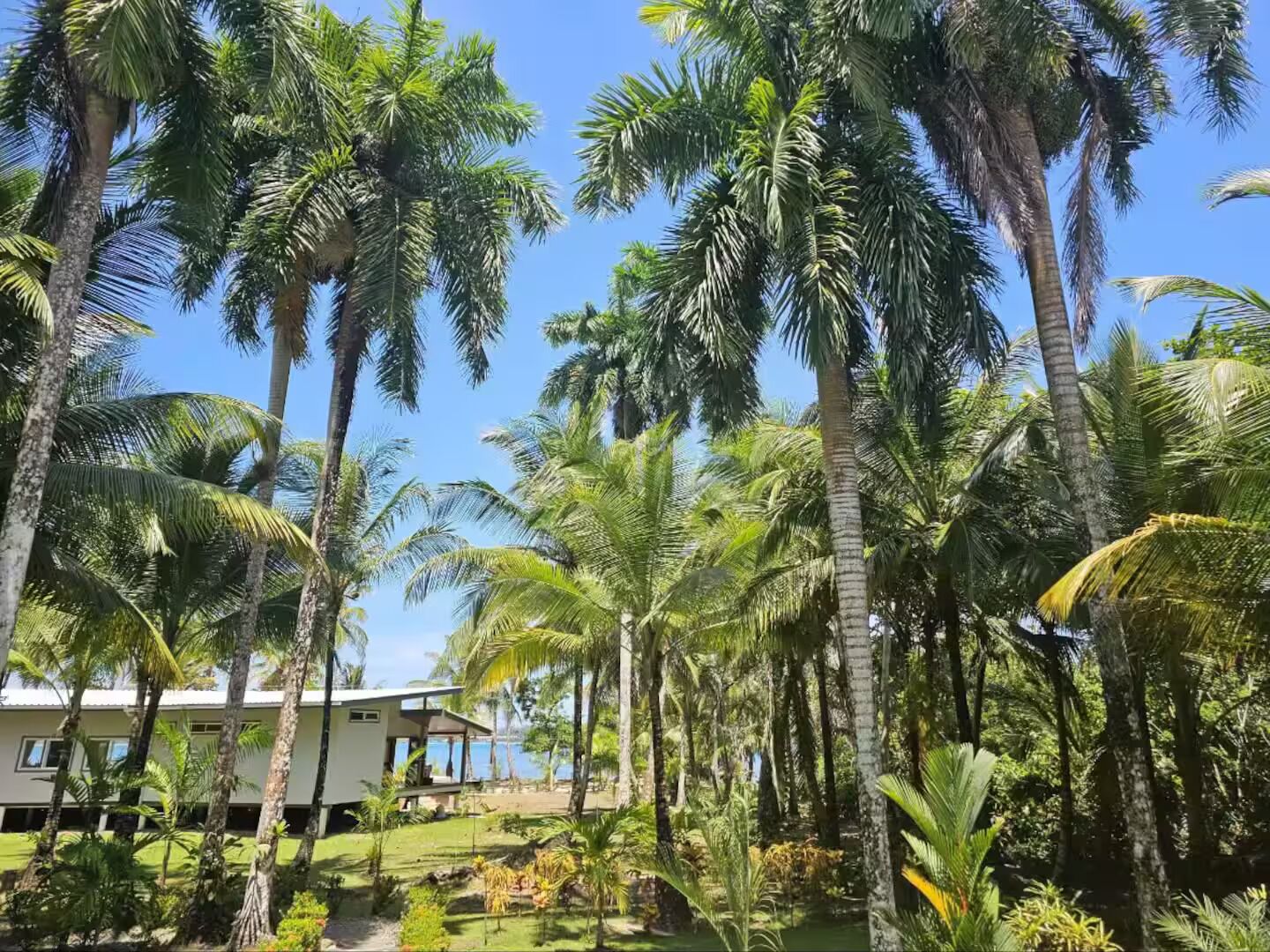 Àrea exterior de l'allotjament