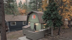 Une cabane à l’extérieur vert, avec un petit porche et une cour clôturée.