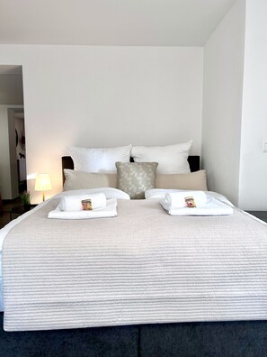 1 bedroom, iron/ironing board, WiFi, bed sheets - Vacation apartment Goltan in Abensberg - Center - Terrace - Business (Abensberg)