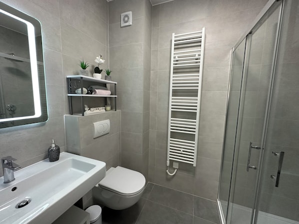 Shower, hair dryer, towels, soap