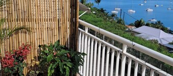 Palm tree Quiet residence