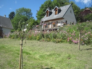 Eksteriør