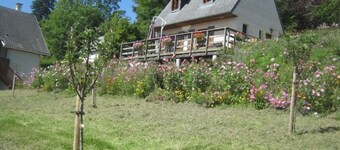Sancy orchards