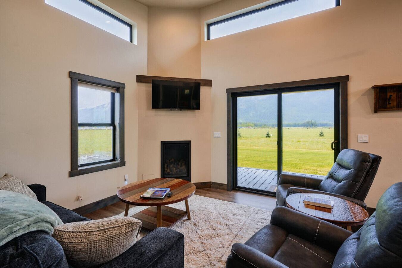 Smart TV, fireplace, books