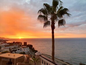 A sunset view over the sea with a palm tree and buildings in the foreground.