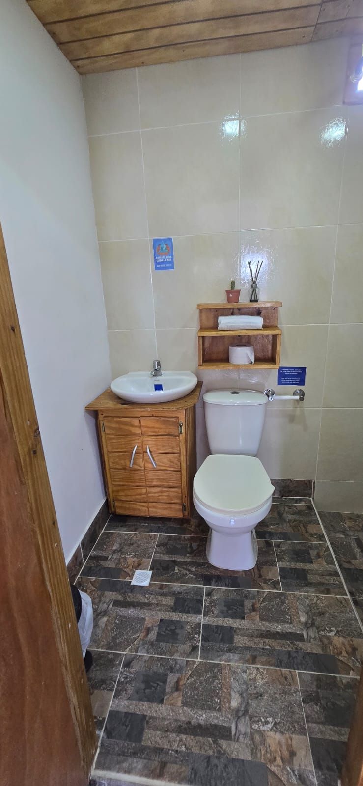 A bathroom with a wooden cabinet, a white sink, a toilet, and a shelf with a potted plant and a bottle of air freshener.