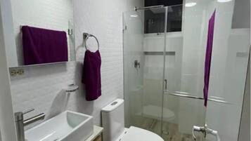 Shower, towels, toilet paper