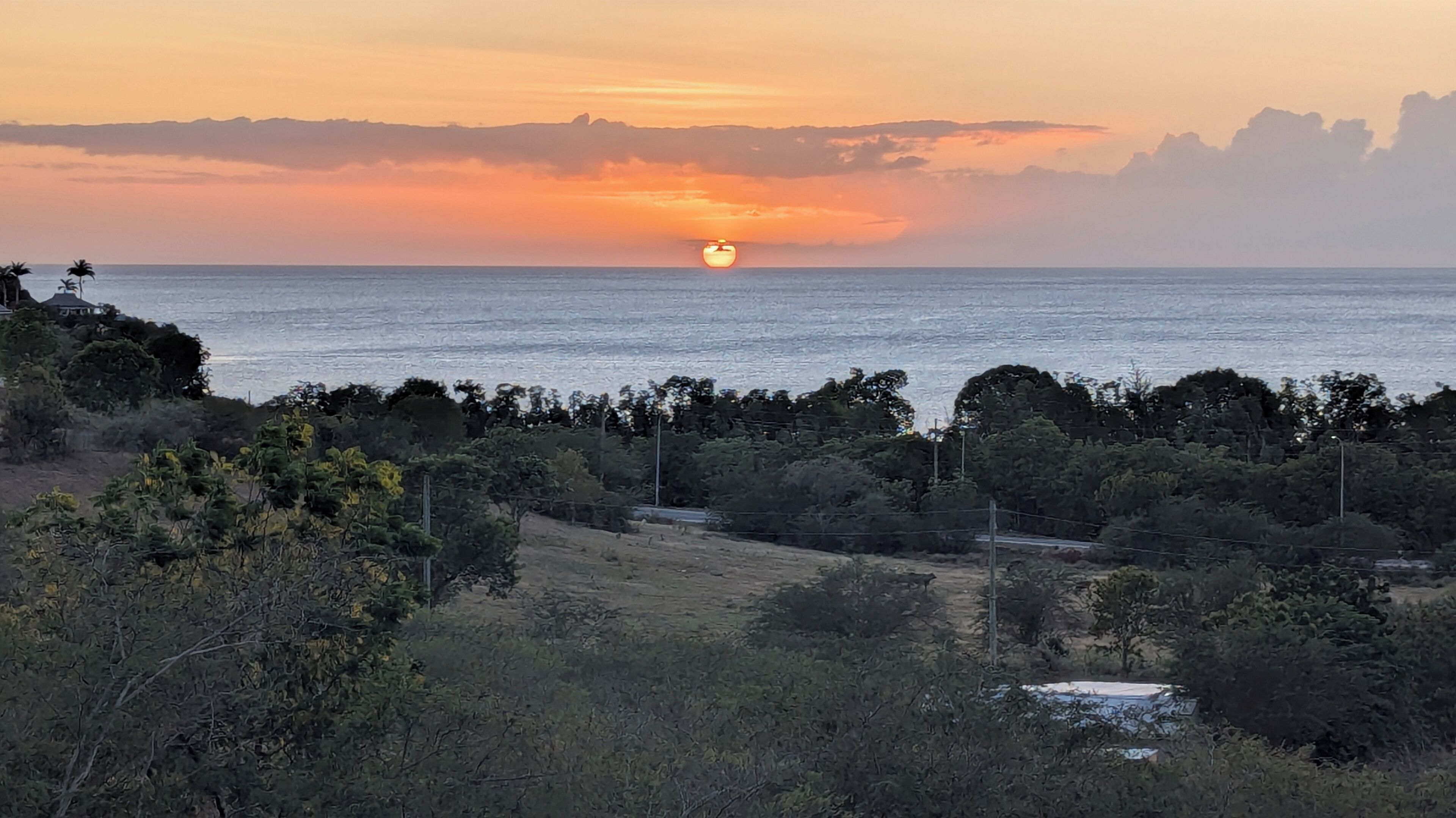 Een zonsondergang boven een kustlandschap met bomen en een helder uitzicht op de oceaan.
