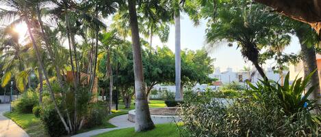 Property grounds