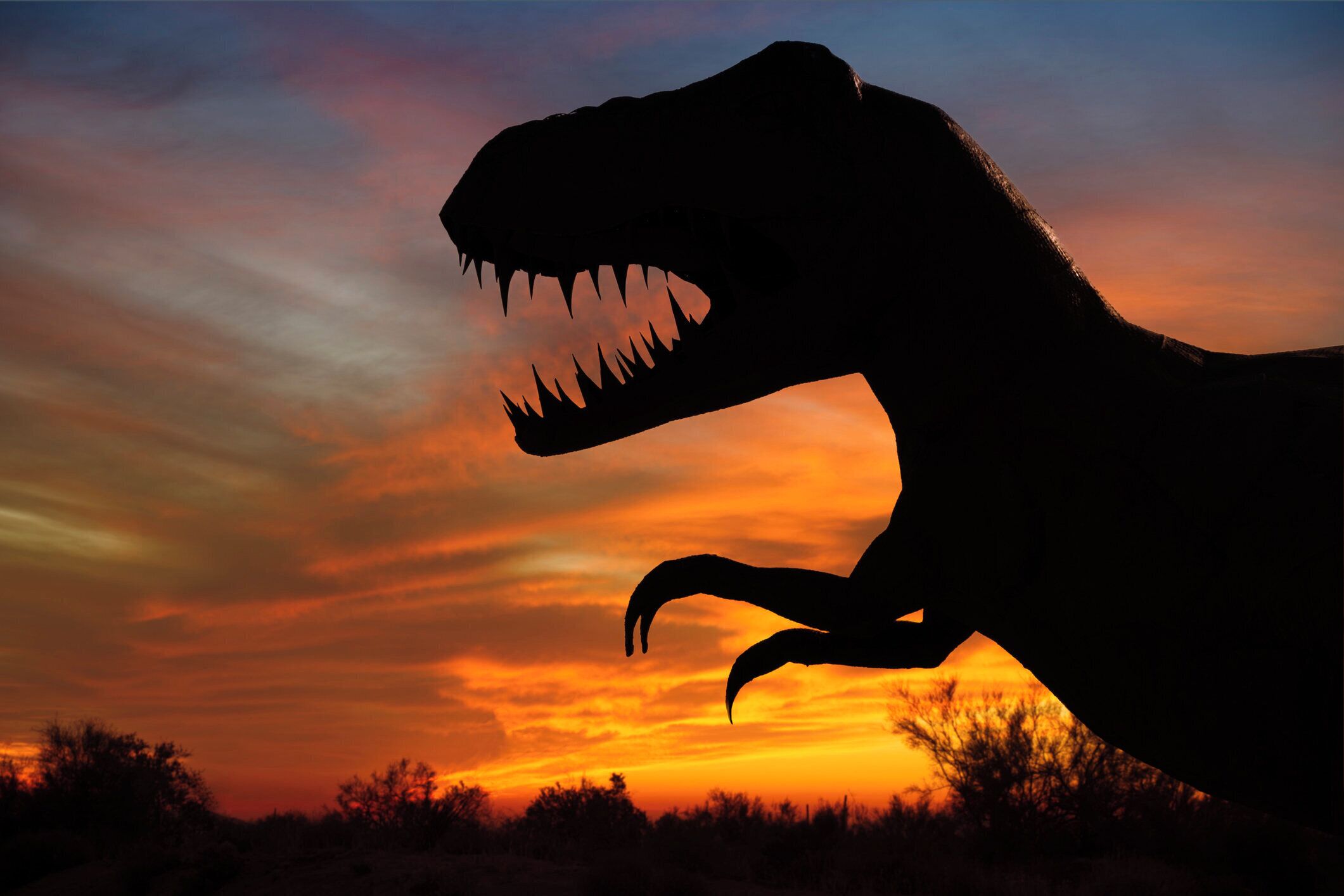 A silhouette of a dinosaur against a sunset sky.