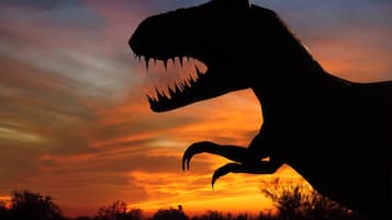 A silhouette of a dinosaur against a sunset sky.