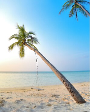 A beach scene with a palm tree and a swing.