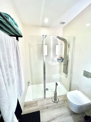 Douche, serviettes fournies, papier de toilette