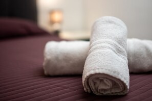 淋浴設備、免費梳洗用品、風筒、坐浴桶