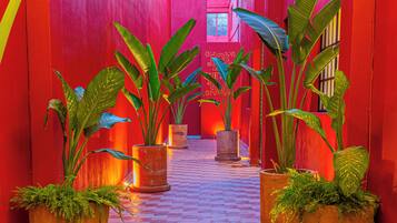 Tabla de planchar con plancha y wifi gratis