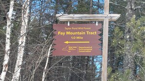Un panneau indicateur indiquant la direction vers la zone naturelle de Taylor Pond Wild Forest et le sentier de Fay Mountain, et précisant une distance de 1,6 kilomètre (1,0 mile).
