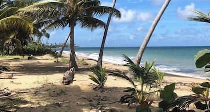 Lucky Luquillo's SOLAR El Yunque & Beach Retreat