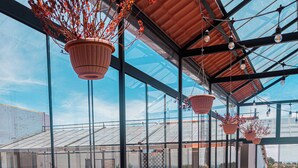 A sunlit room with large windows, wooden benches, and hanging planters. - Katari Atojja Puno Hotel (Chucuito)