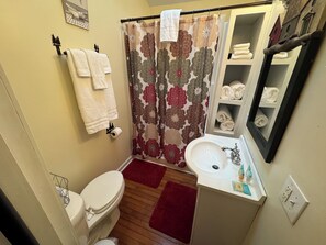Shower, hair dryer, towels, soap - Mountain home in Newland (Newland)