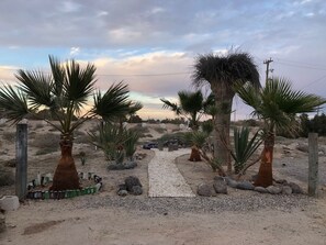 Explore the serene desert landscape with palm trees and a winding gravel path.